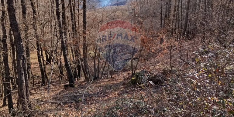 20250401120958-940110-6