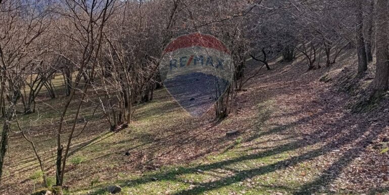 20250401121001-940110-7