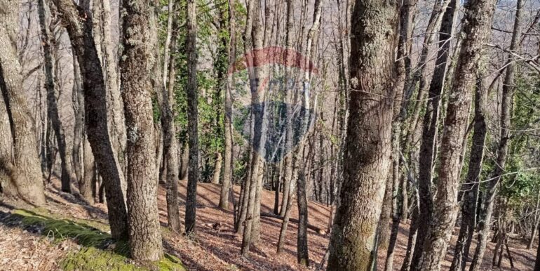 20250401121004-940110-8