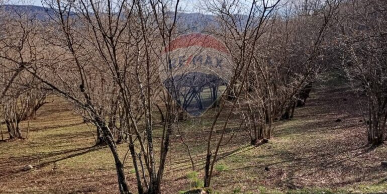 20250401121010-940110-10