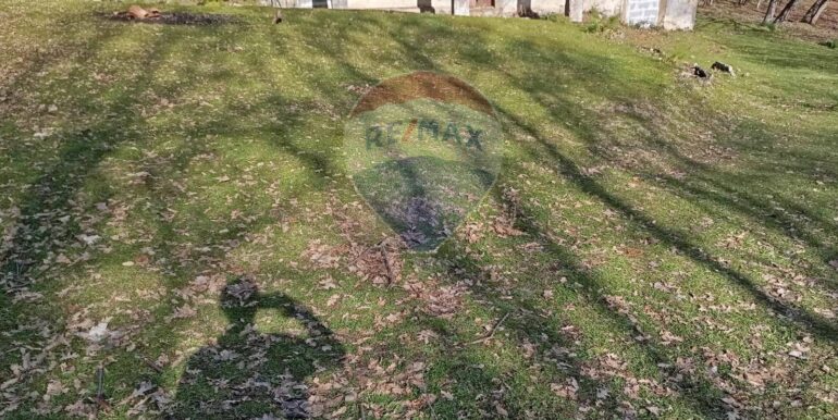 20250401121013-940110-11