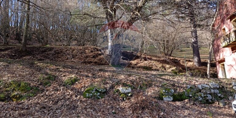 20250401121016-940110-12