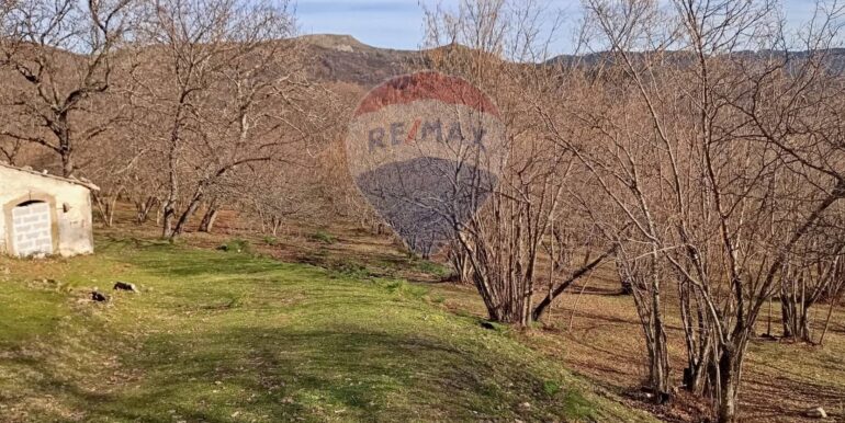 20250401121020-940110-13