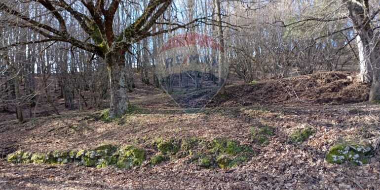 20250401121026-940110-15