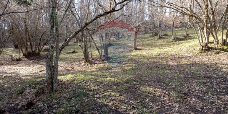 20250401121029-940110-16