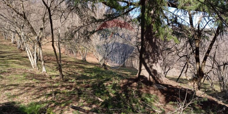 20250401121033-940110-17