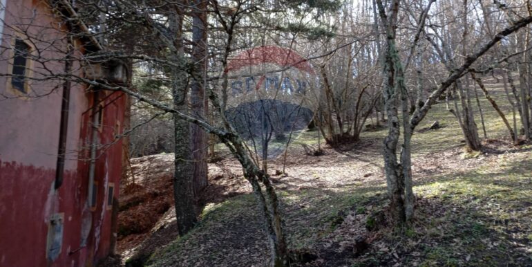 20250401121036-940110-18