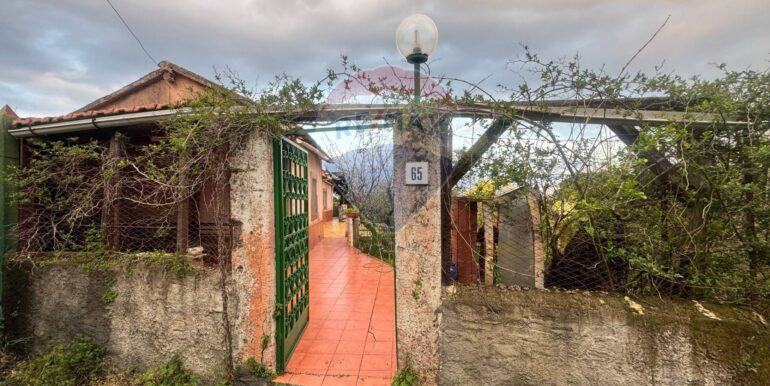 20250401142211-940036-1