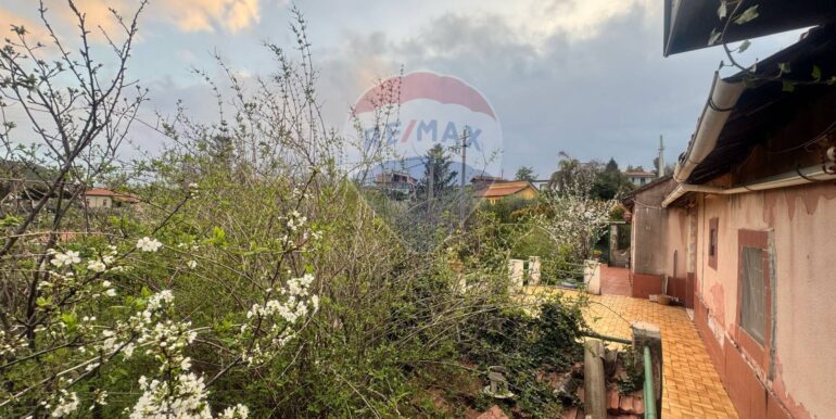 20250401142218-940036-5