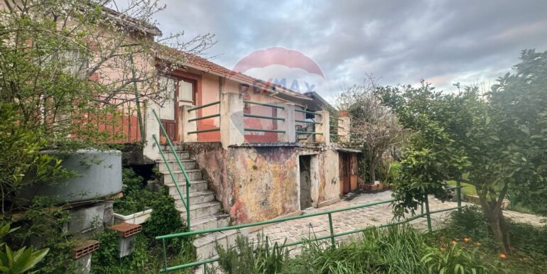 20250401142222-940036-7