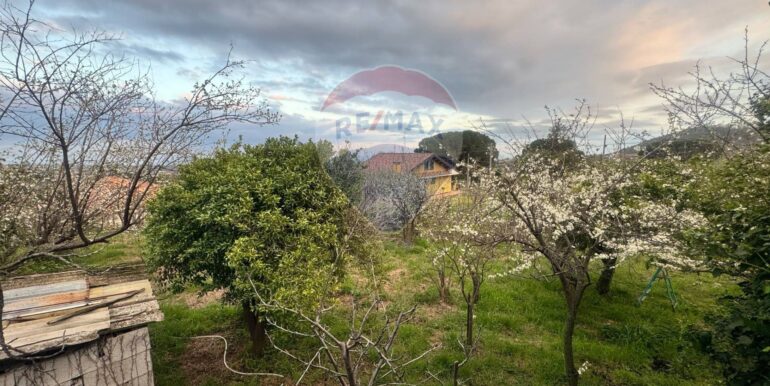 20250401142232-940036-12