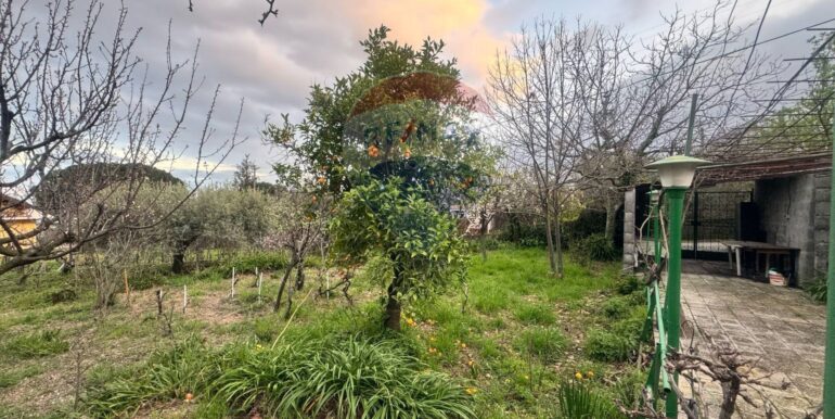 20250401142245-940036-18