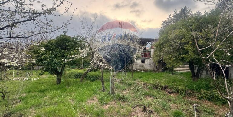 20250401142248-940036-19