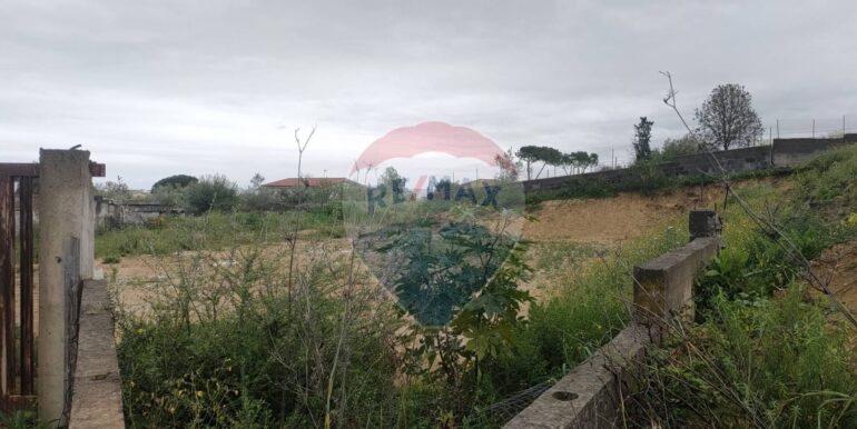 20250401164709-940199-1