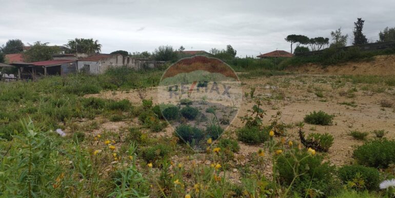 20250401164713-940199-3