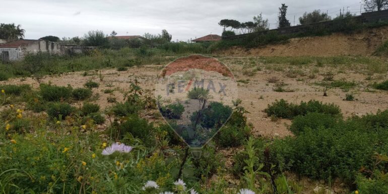 20250401164716-940199-5