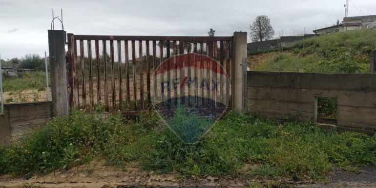 20250401164719-940199-7