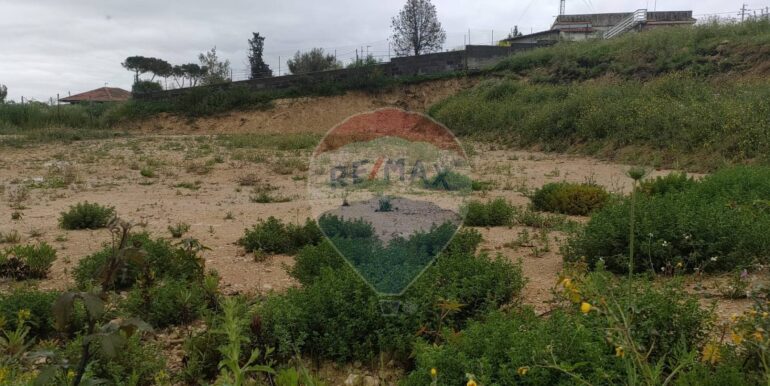 20250401164721-940199-8