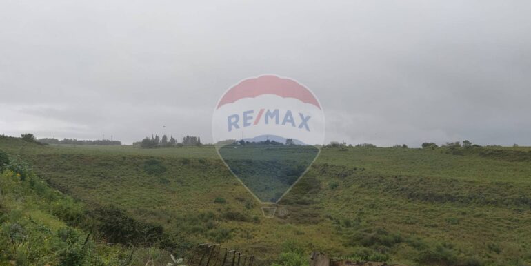 20250401164729-940199-13