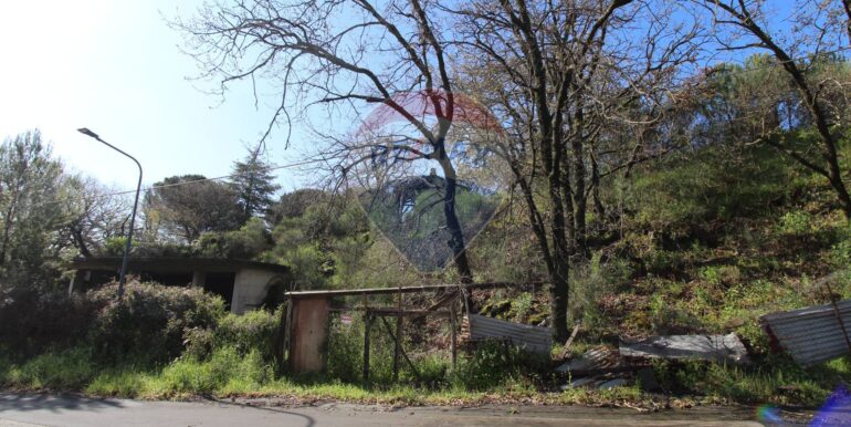 20250402122804-940317-3