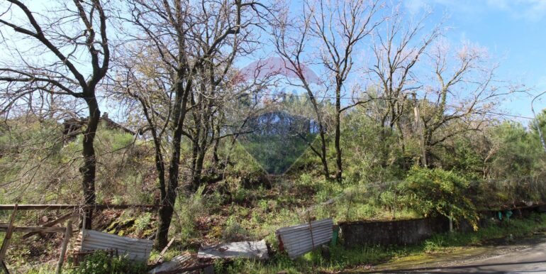 20250402122808-940317-4