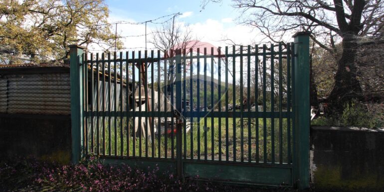 20250402122818-940317-8