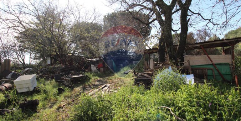 20250402122826-940317-10