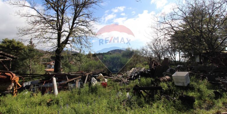 20250402122830-940317-11