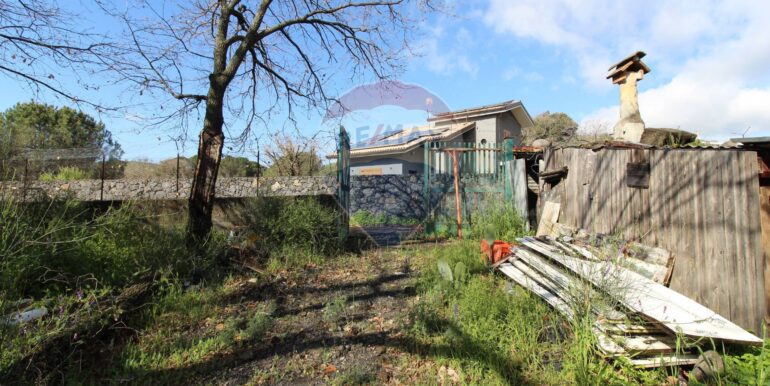 20250402122833-940317-12