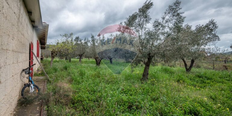 2025040422514-941798-28