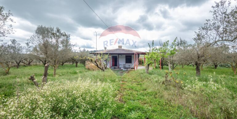 2025040422718-941798-37