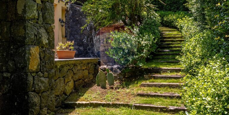 20250503185134-946372-3