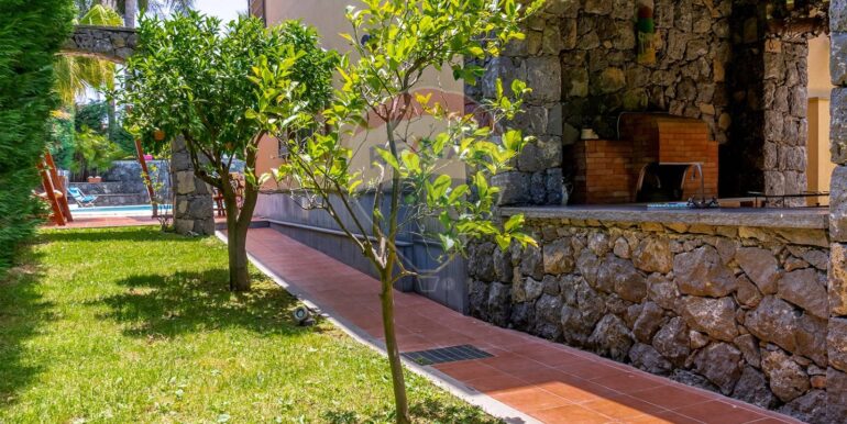 20250503185159-946372-21