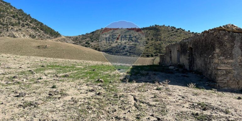 20250520174806-950539-4