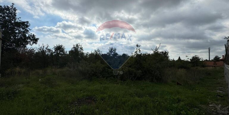 20250530104412-952524-1