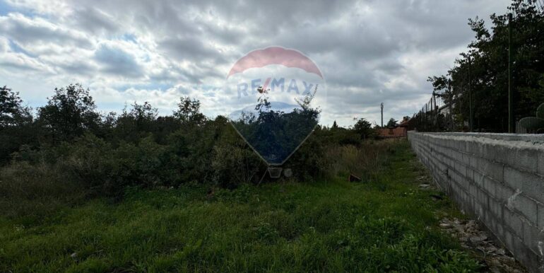 20250530104414-952524-2