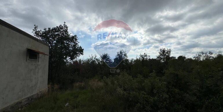 20250530104428-952524-3