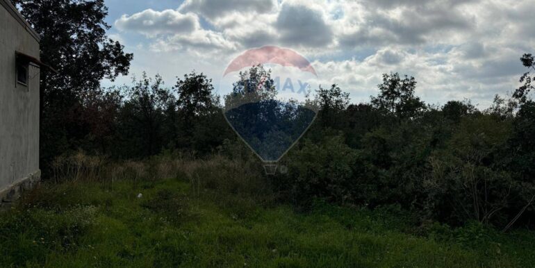 20250530104446-952524-4