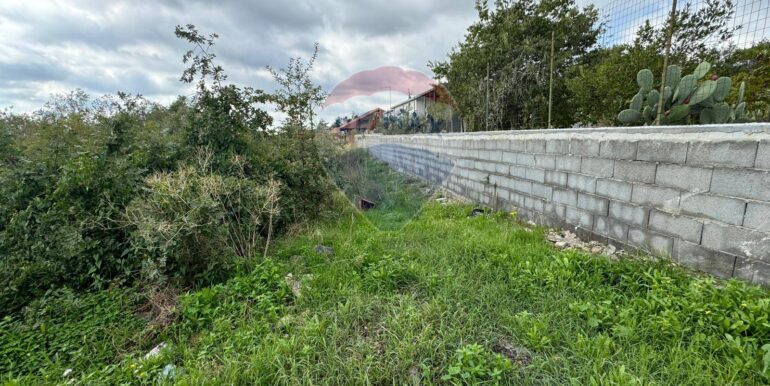 20250530104457-952524-5