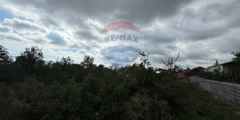 20250530104459-952524-6