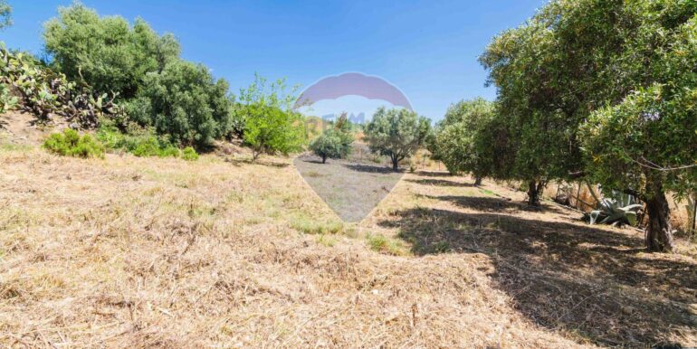 20250604113735-952575-13