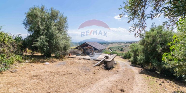 20250604113806-952575-24