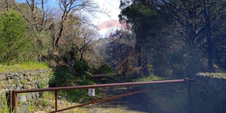 20250609155505-956397-3