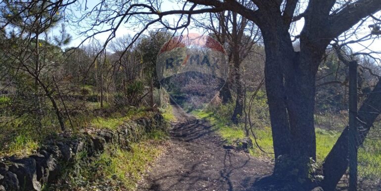 20250609155507-956397-4