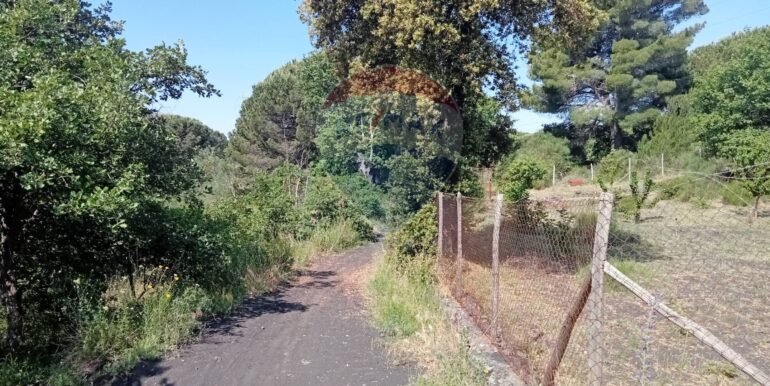 20250609155510-956397-5