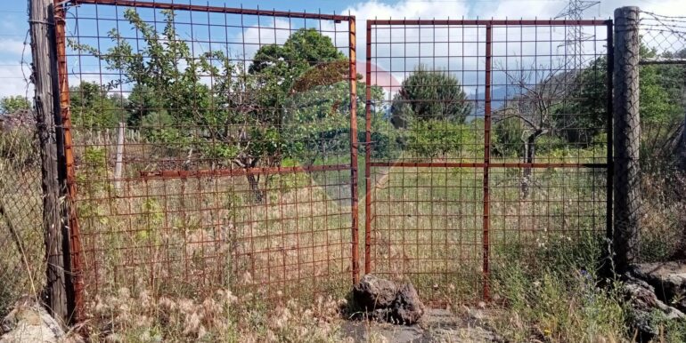 20250609155513-956397-6