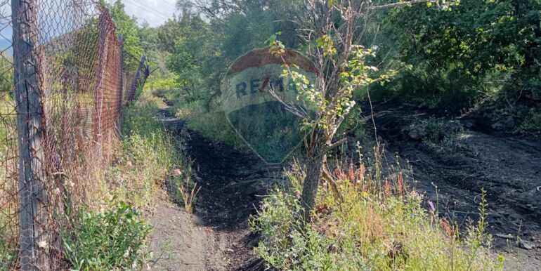 20250609155519-956397-8