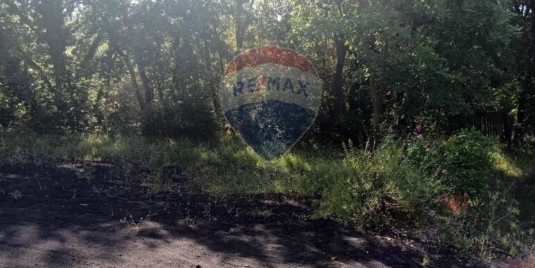 20250609155522-956397-9