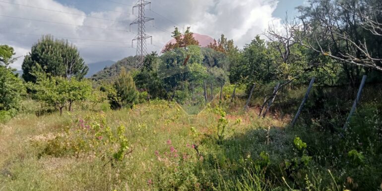 20250609155525-956397-10