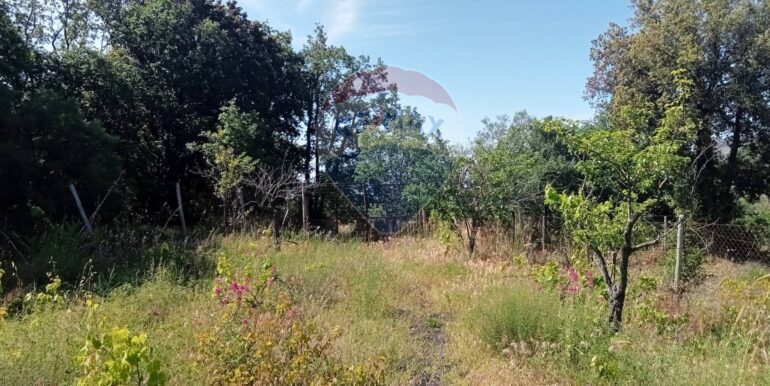 20250609155527-956397-11